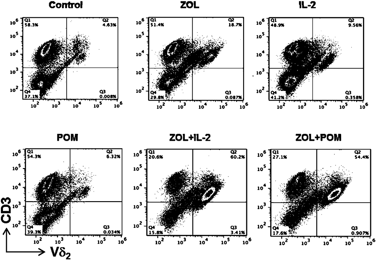 Pharmaceutical composition for in vitro amplification of cytotoxic gamma delta T-lymphocytes and amplification method of pharmaceutical composition