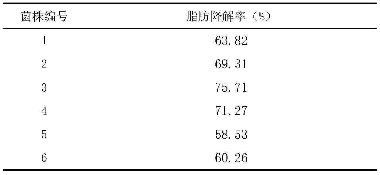 Bacillus and application thereof in reduction and resourceful production of organic fertilizer from kitchen wastes