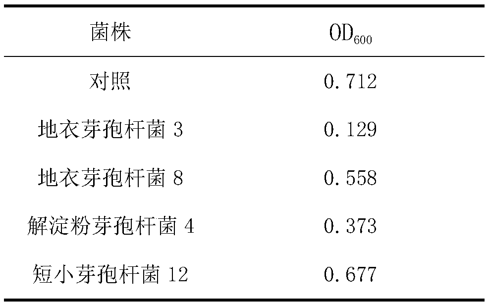 Bacillus and application thereof in reduction and resourceful production of organic fertilizer from kitchen wastes