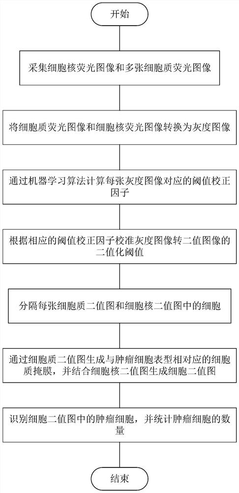 Tumor cell phenotype recognition counting method based on cell fluorescence image