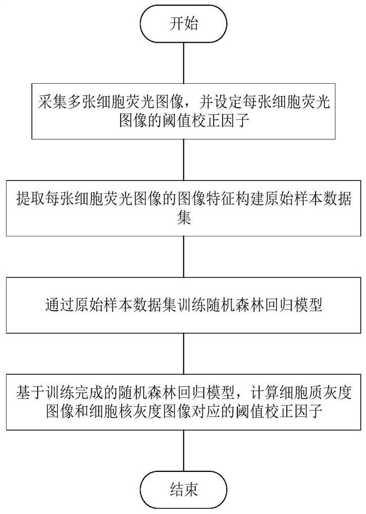 Tumor cell phenotype recognition counting method based on cell fluorescence image