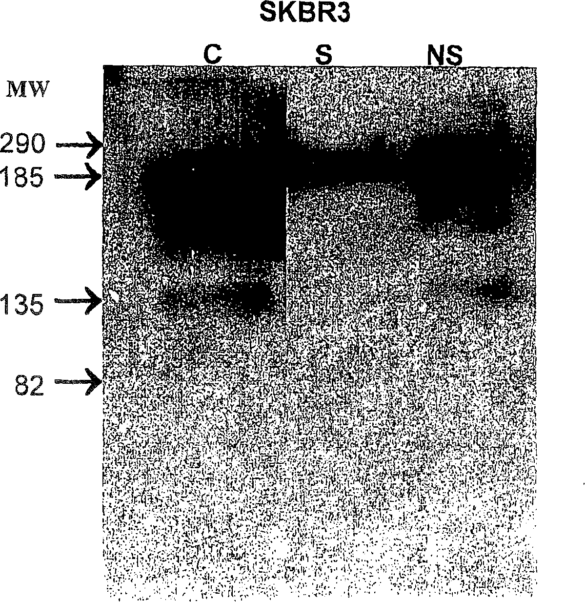 Nanoparticles comprising rna ligands