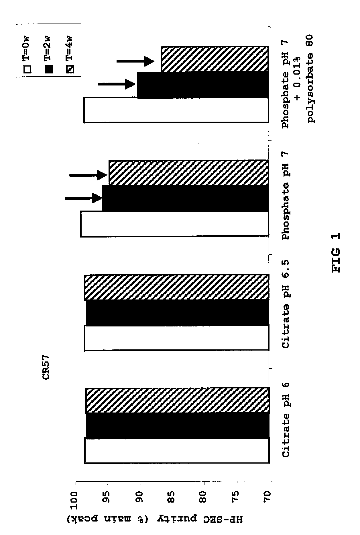 Liquid Anti-rabies antibody formulations