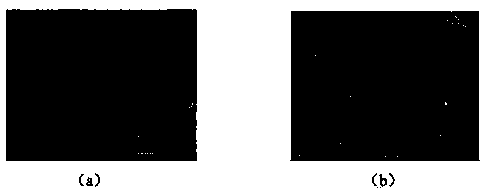 An in-situ developed heterogeneous core-shell structure lithium-ion battery positive electrode material and preparation method thereof