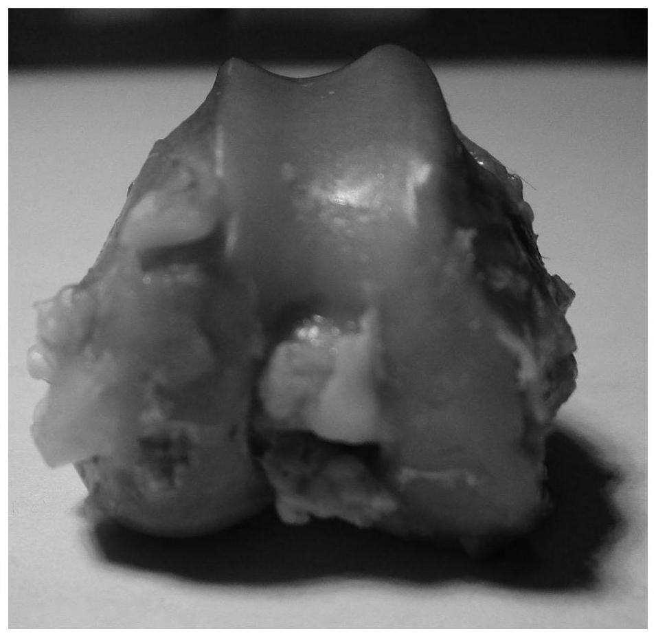 Application of arabinoxylan sulfonate in preparation of medicine for treating osteoarthritis