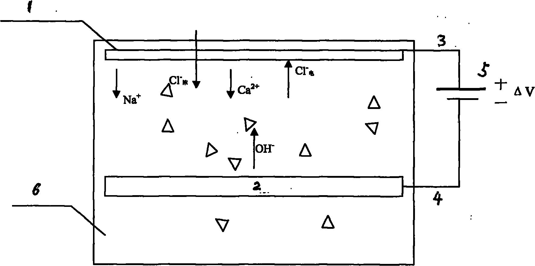 Electric field salt rejection protective system protected by reinforced concrete structure in chloride environment