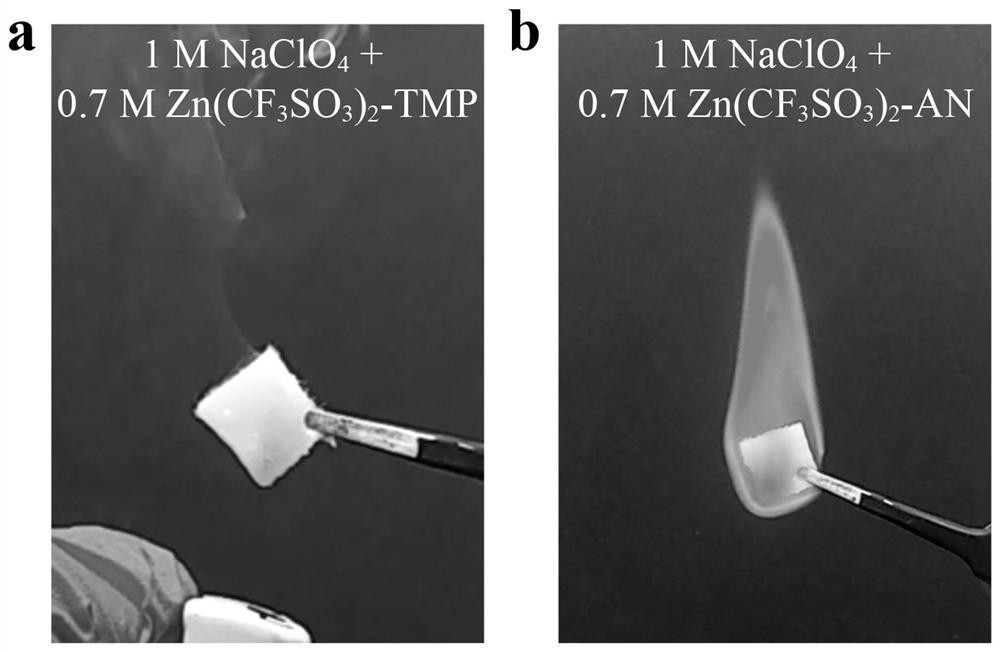 A kind of flame retardant organic electrolytic solution and rechargeable zinc battery for rechargeable zinc battery