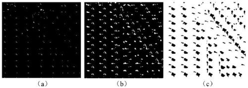 3D Texture Pattern Synthesis Method Based on Dragonfly Visual Imaging Model Setting