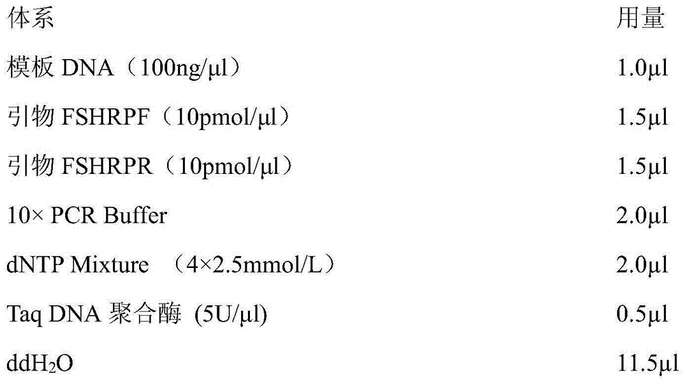 Molecular marking method for predication and identification of sheep multiple ovulation trait and molecular marker primers