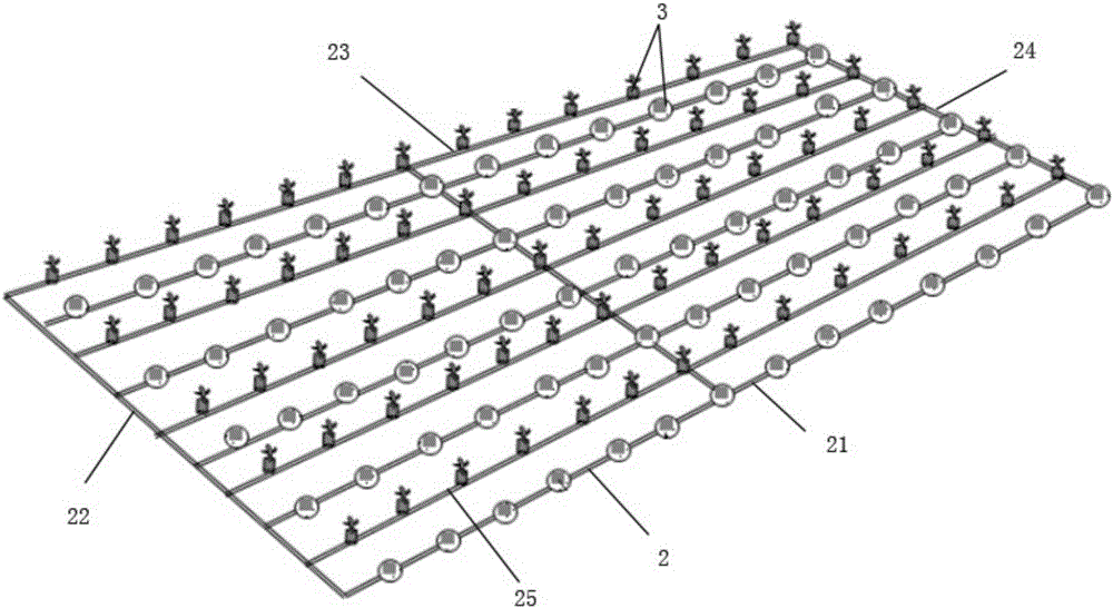 Device and method for promoting the growth of stony coral by means of micro-current