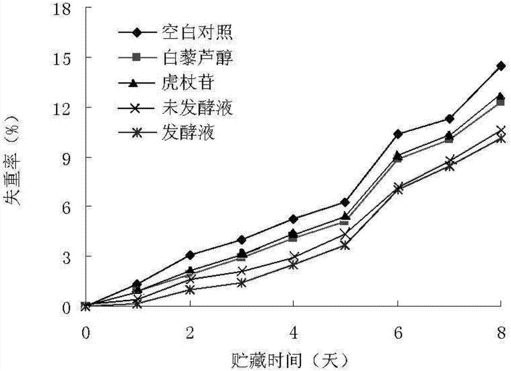 Application of endophytic strain Aspergillus fumigatus j3 in Polygonum cuspidatum in preservation of strawberries