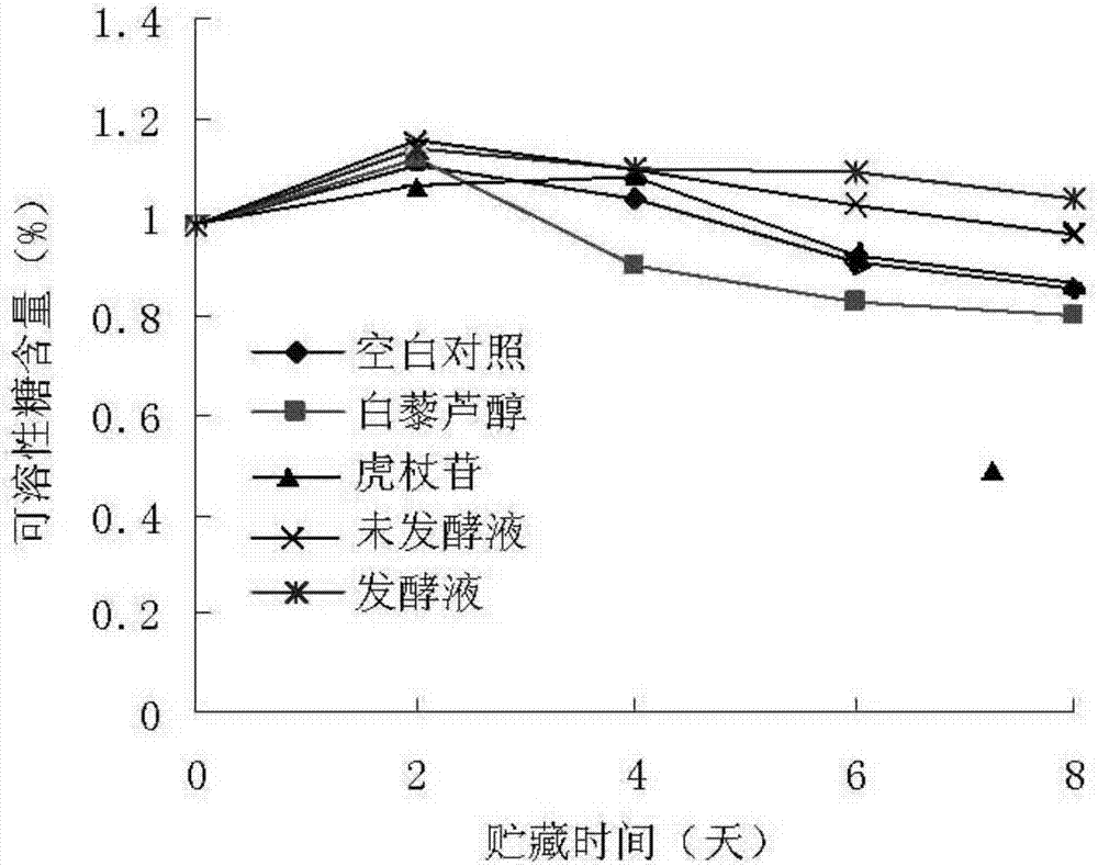 Application of endophytic strain Aspergillus fumigatus j3 in Polygonum cuspidatum in preservation of strawberries