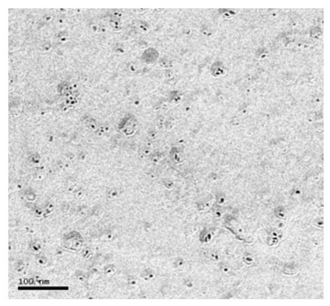 Economical aging-resistant high-strain precipitation strengthened pipeline steel and production method thereof