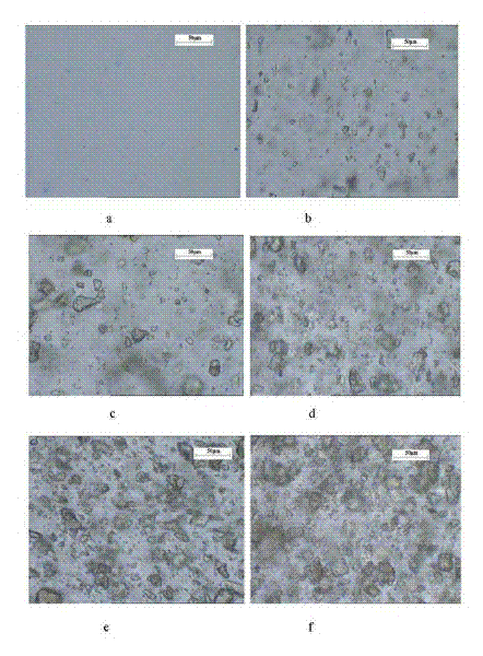 Method for manufacturing polrvinyl chloride/europium-doped strontium aluminate photoluminescent sheets