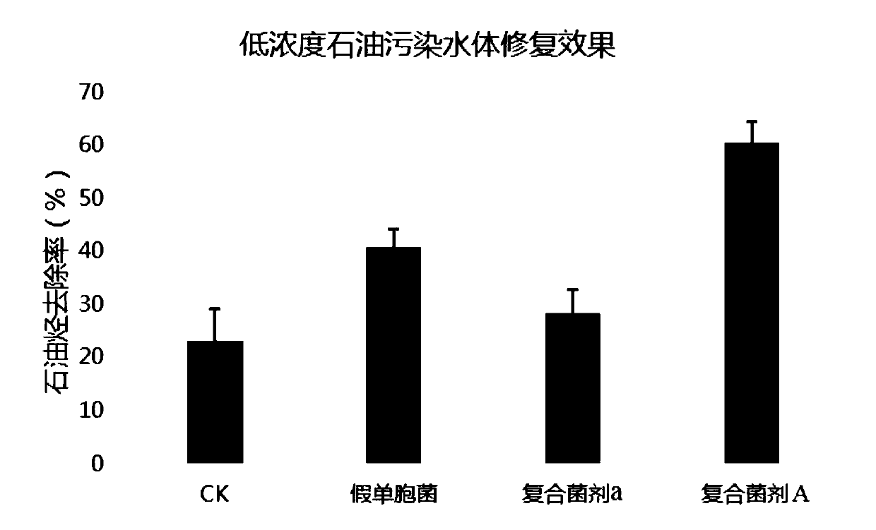 Bacterial strain and complex microbial agent for bioremediation of petroleum-contaminated water, and preparation method and application of agent