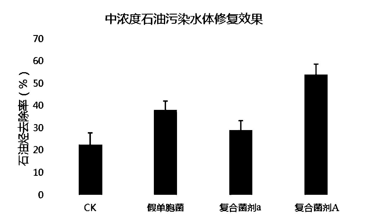 Bacterial strain and complex microbial agent for bioremediation of petroleum-contaminated water, and preparation method and application of agent