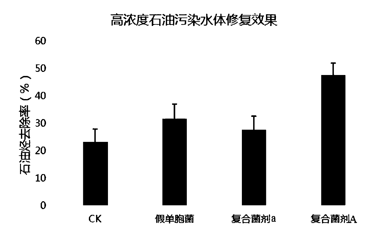 Bacterial strain and complex microbial agent for bioremediation of petroleum-contaminated water, and preparation method and application of agent