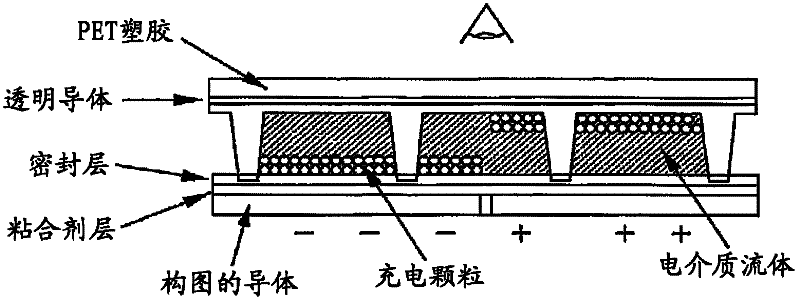 Particles for electronic paper and manufacturing method thereof