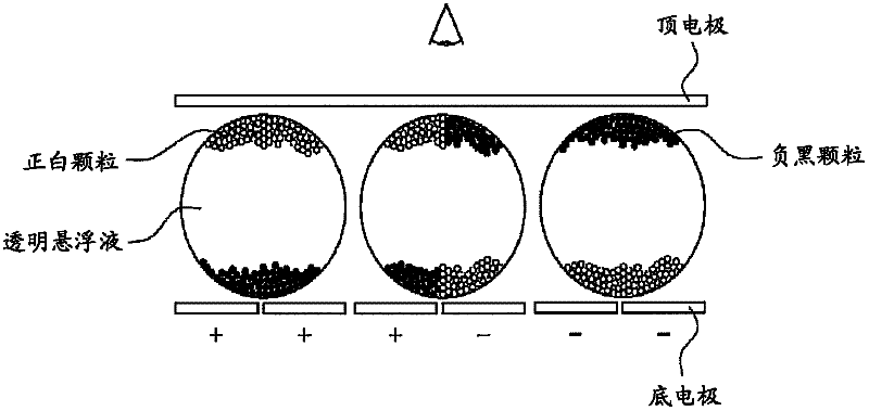 Particles for electronic paper and manufacturing method thereof