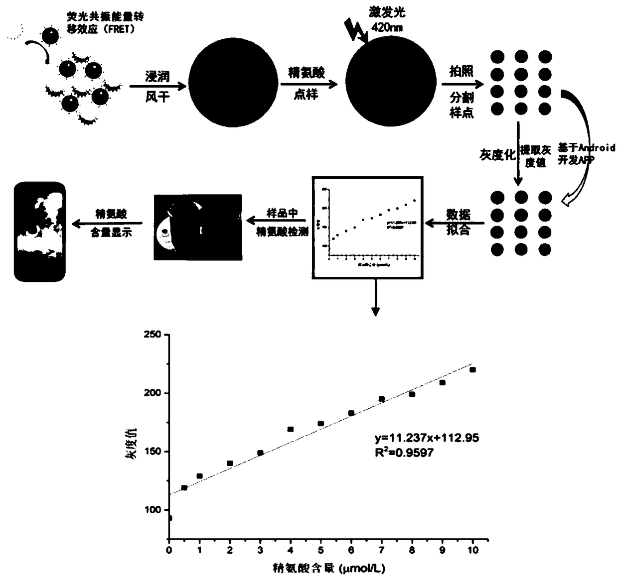 Portable arginine detection device and method