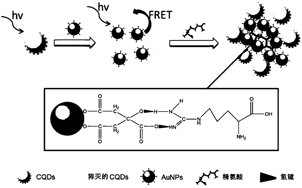 Portable arginine detection device and method