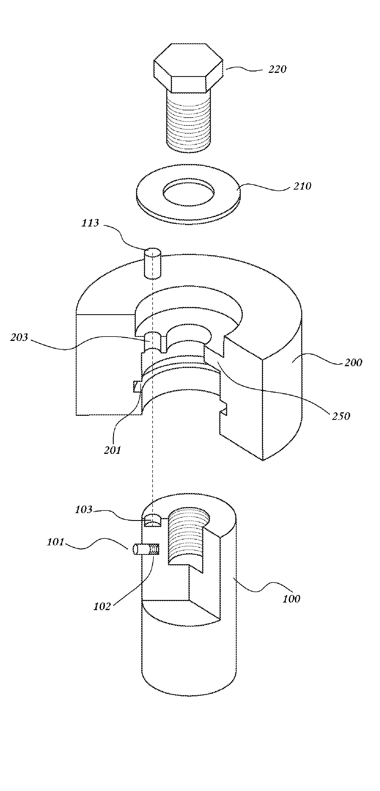 Fixed Weight Dumbbell Assembly