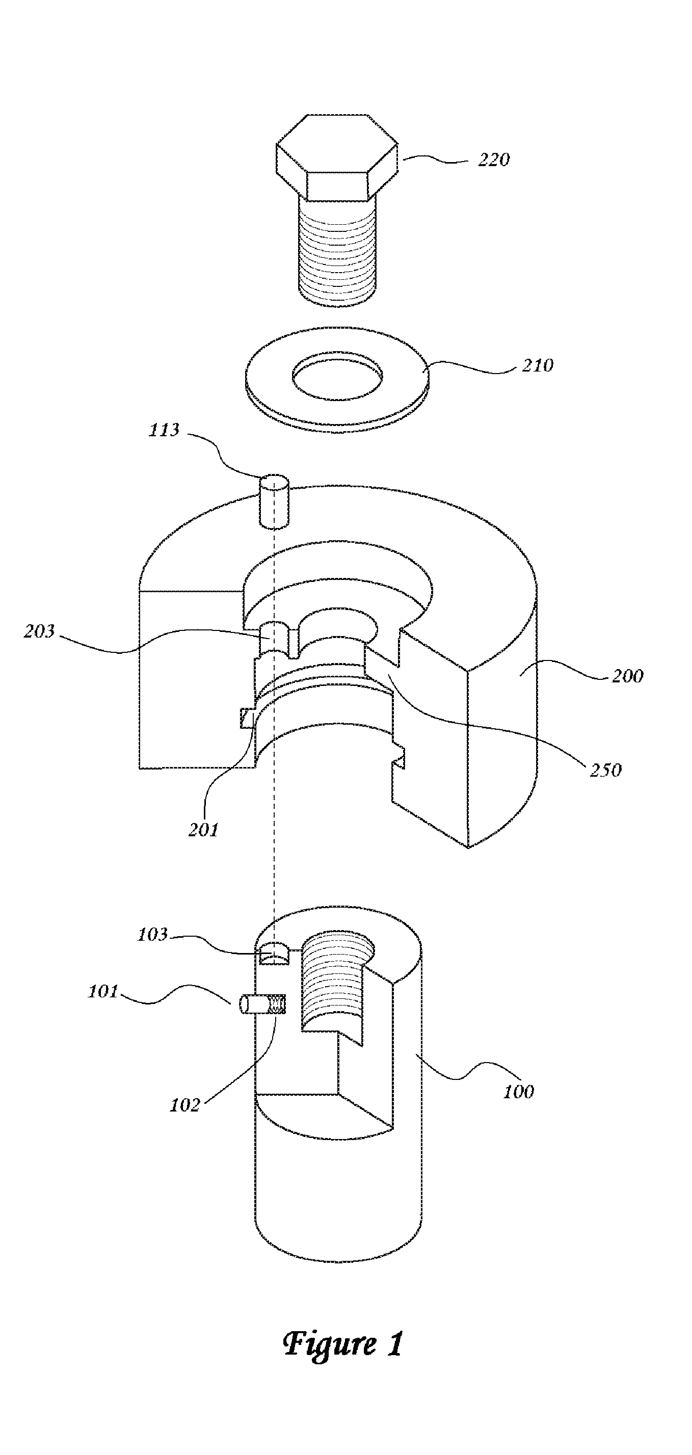 Fixed Weight Dumbbell Assembly