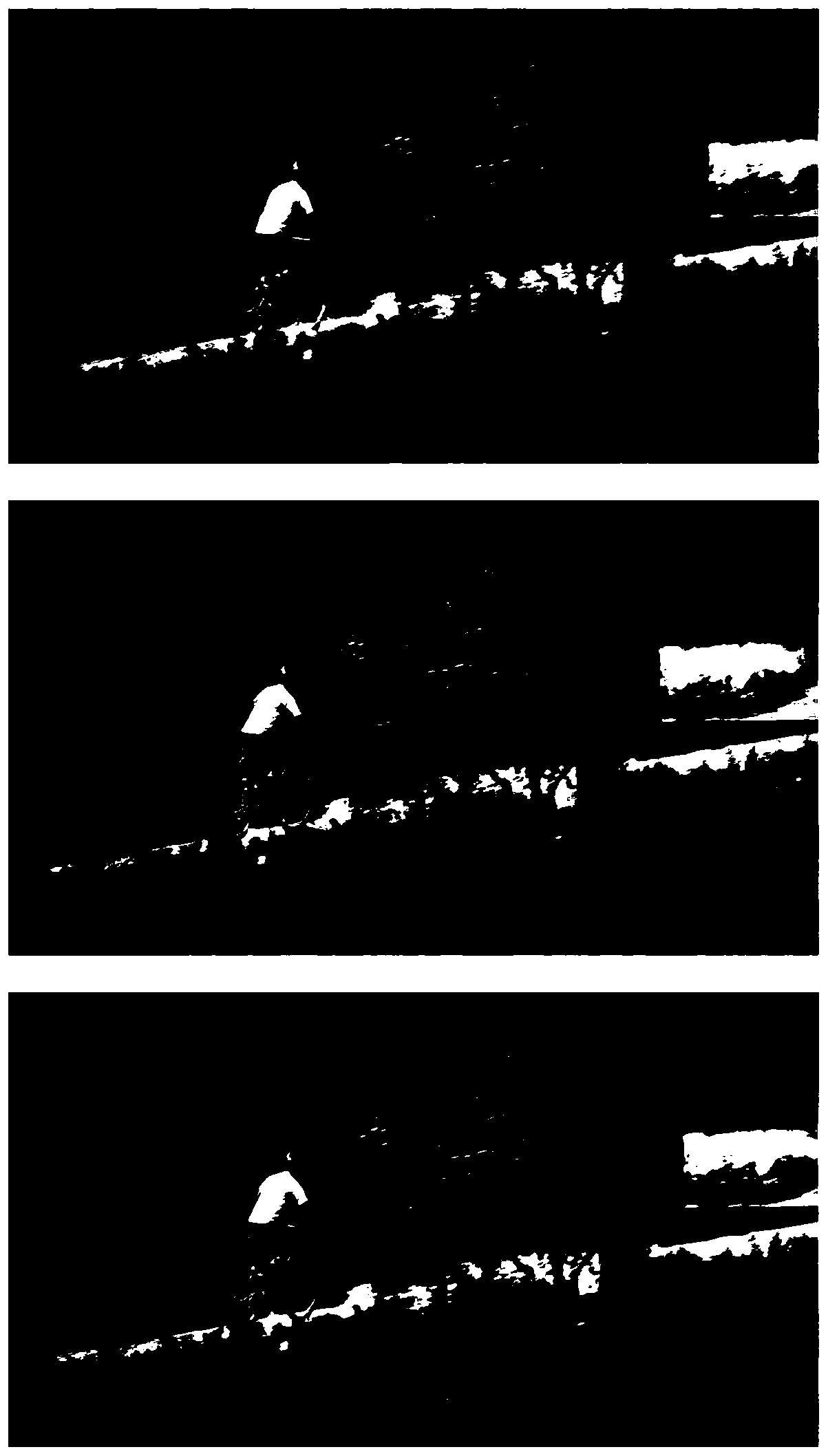 Method for removing dynamic background based on online transmission transformation and low-rank sparse matrix decomposition