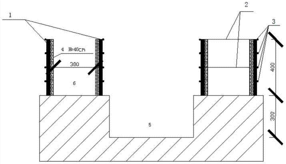 A kind of simple elevated cultivation method of strawberry