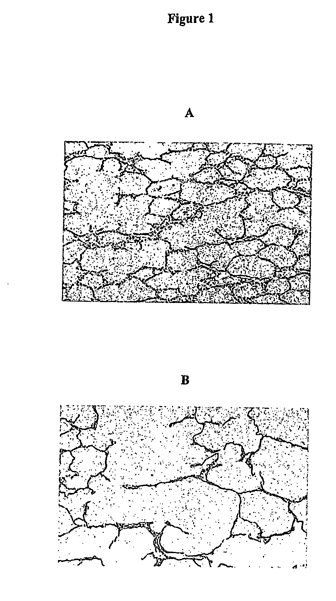 Method for analysing images