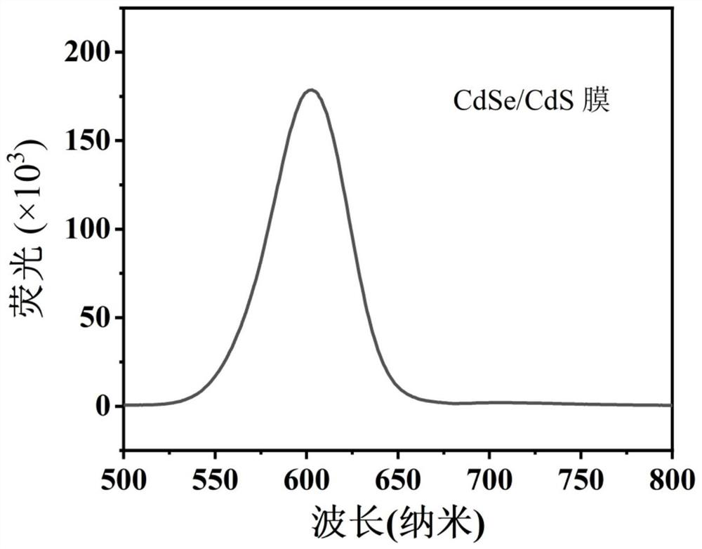 Chiral nanorod film with circular polarization fluorescence