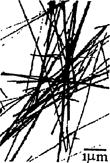 Method for synthesizing cadmium hydroxide single-crystal nanowire