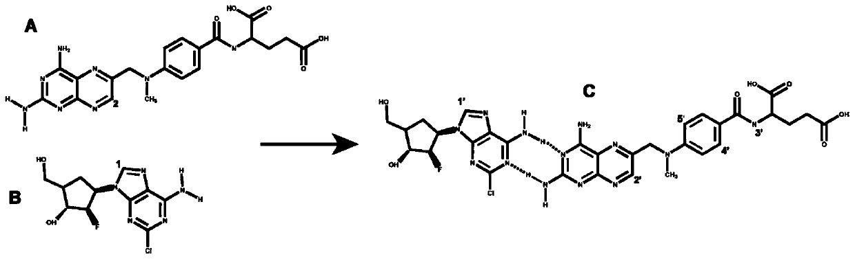 Clofarabine and methotrexate double-medicine preparation and preparation method thereof