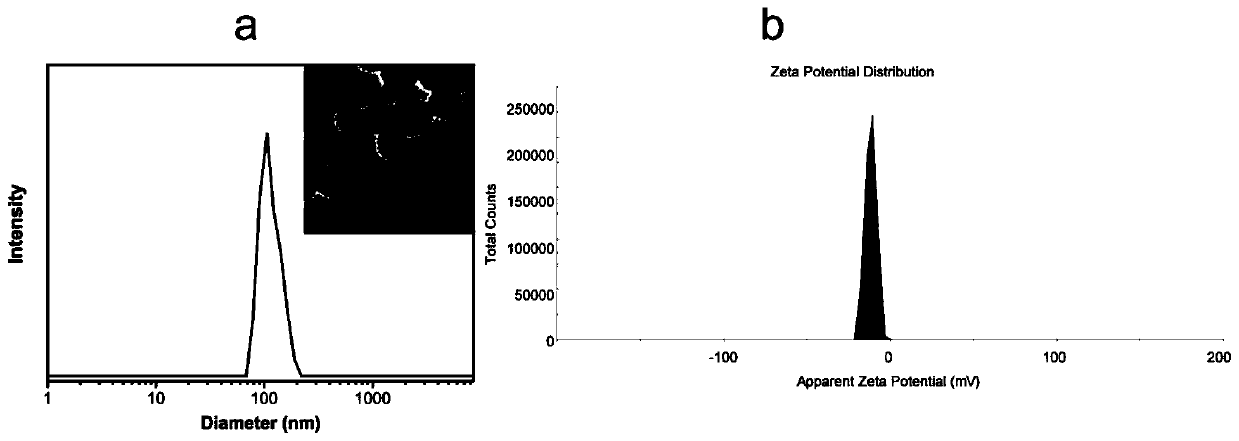 Clofarabine and methotrexate double-medicine preparation and preparation method thereof