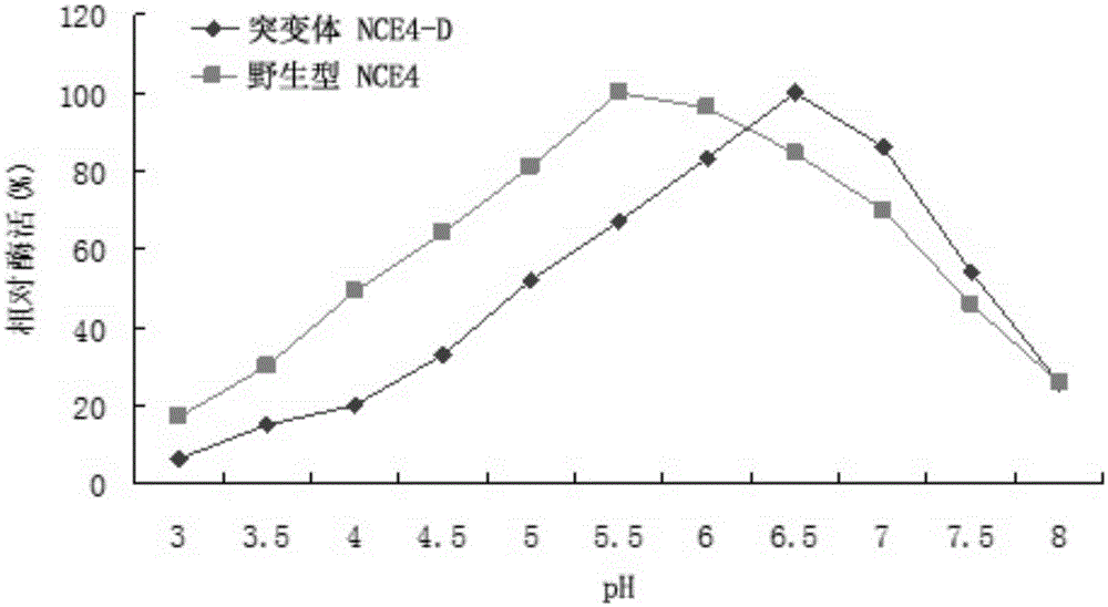 Neutral cellulase mutant and application thereof