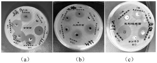 Medicine composition and gel for oral mucosa inflammatory pain and bacteriostasis and preparation method