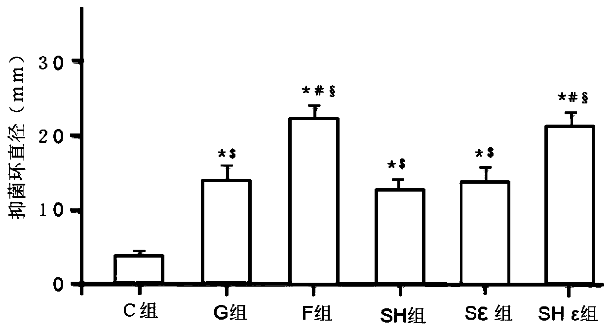 Medicine composition and gel for oral mucosa inflammatory pain and bacteriostasis and preparation method