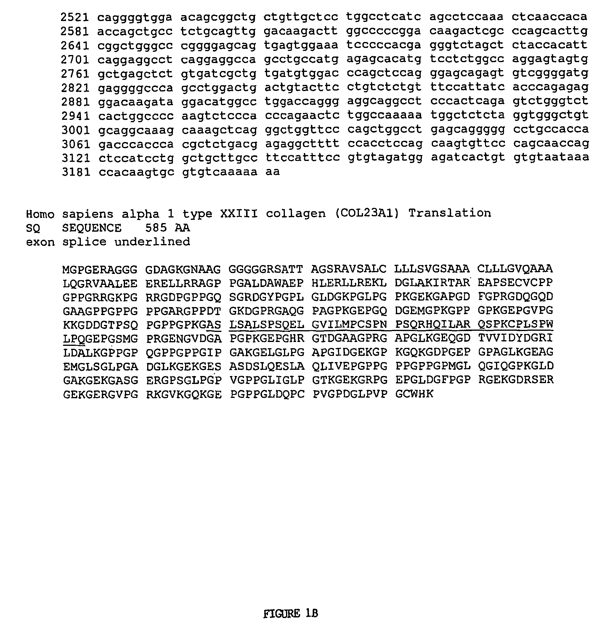 Methods for diagnosis and prognosis of cancer