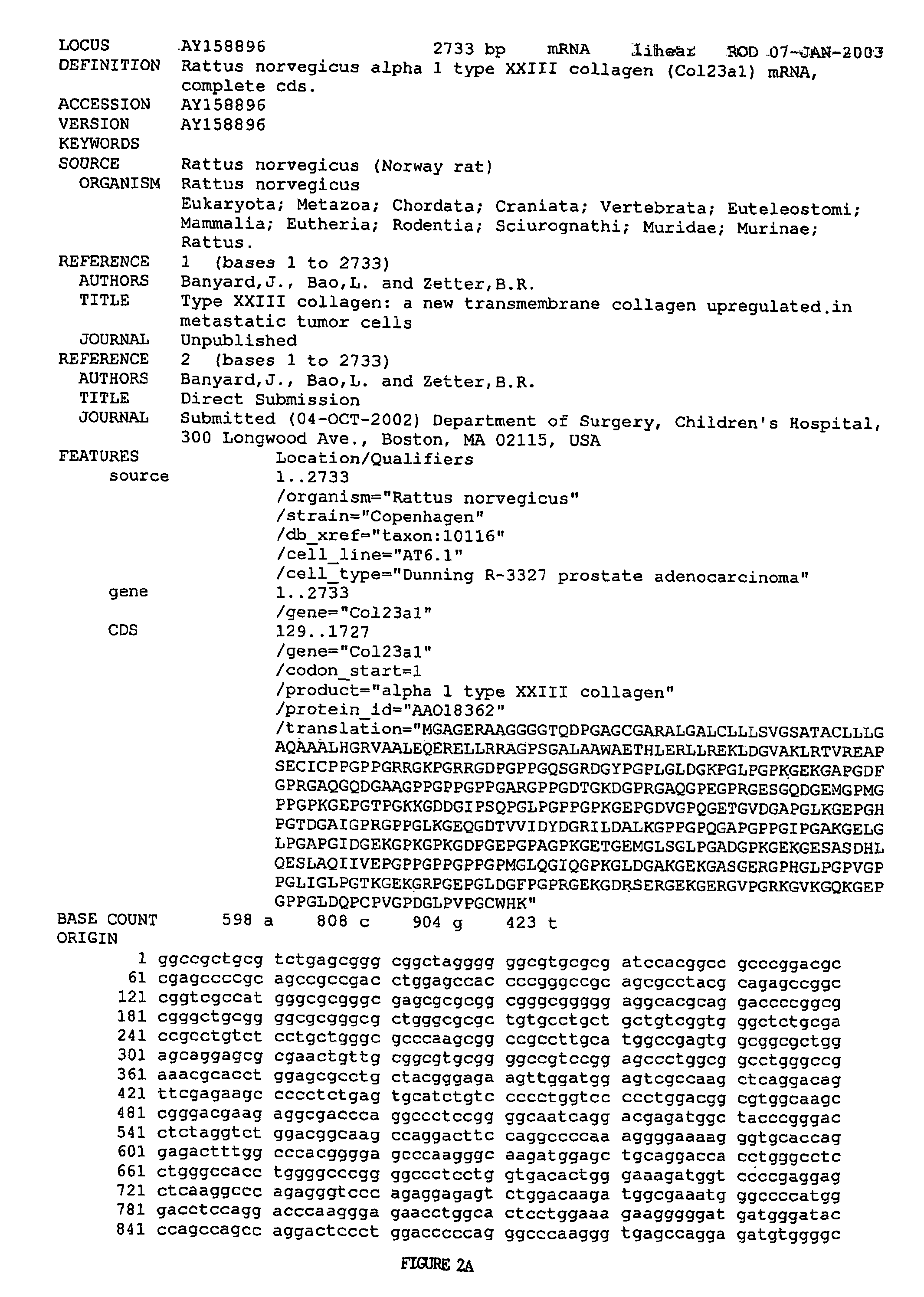 Methods for diagnosis and prognosis of cancer