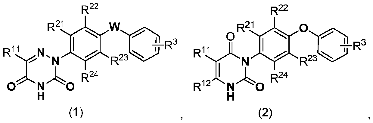 Diclazuril derivative and application thereof and fungicide containing derivative