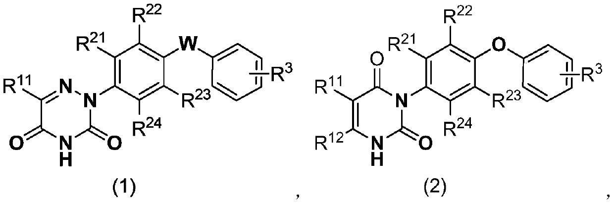 Diclazuril derivative and application thereof and fungicide containing derivative