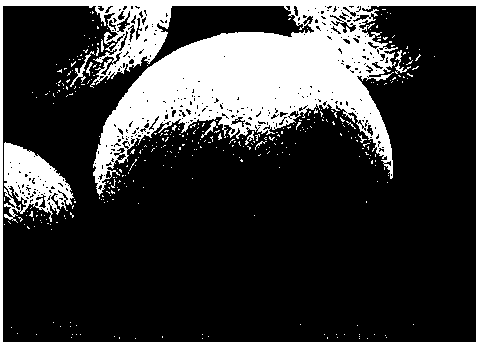 A kind of preparation method of nickel-cobalt-aluminum composite with multiple core-shell structure