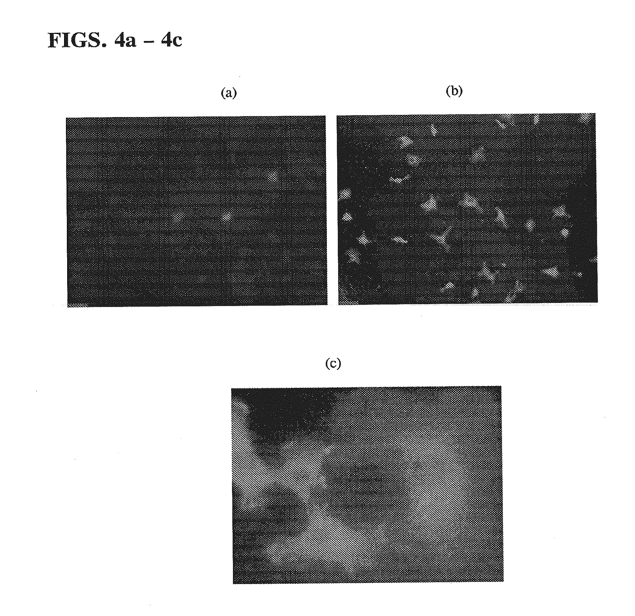 High-yield activation of polymer surfaces for covalent attachment of molecules