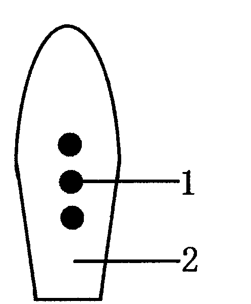 Anus eczema magnet therapy bolt