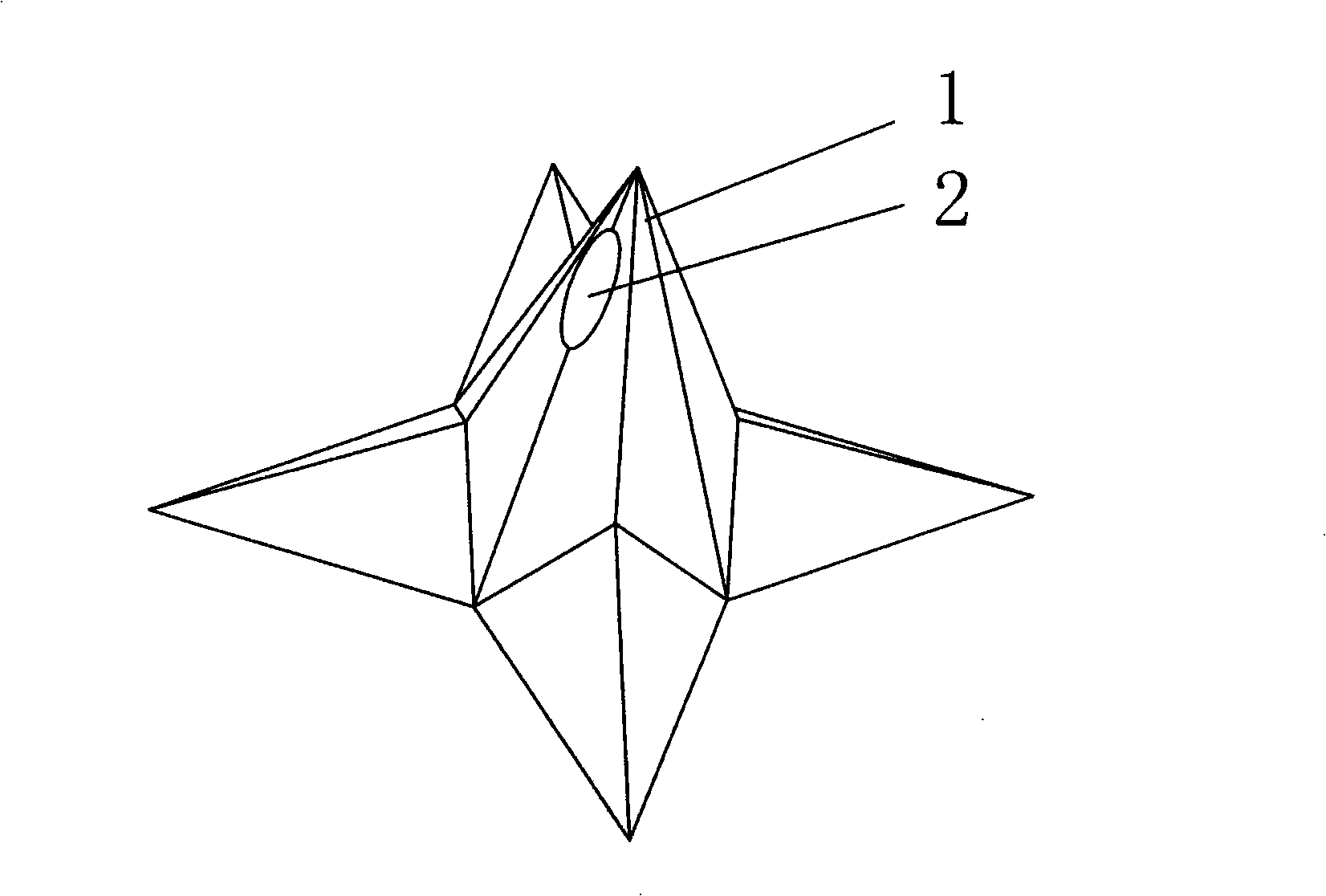 Micro hollow silicon needle and preparation method thereof