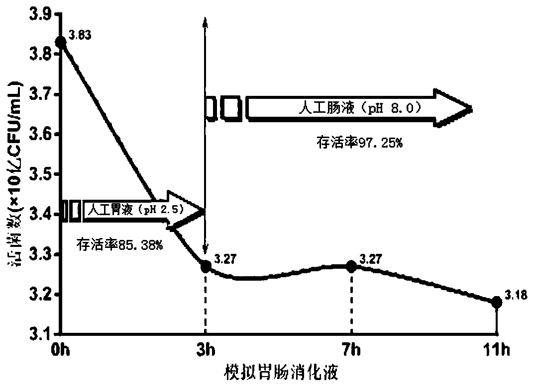 Bifidobacterium lactis M8 separated from breast milk and application thereof