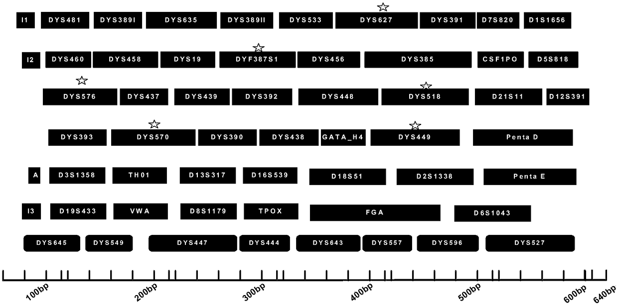 Multiplex amplification detection kit for detecting 60 loca of autosomes and Y-chromosomes simultaneously