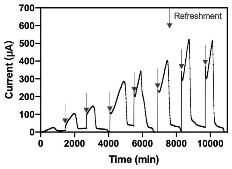 A method for the simultaneous detection of bod and nitrate nitrogen based on electrochemically active microorganisms