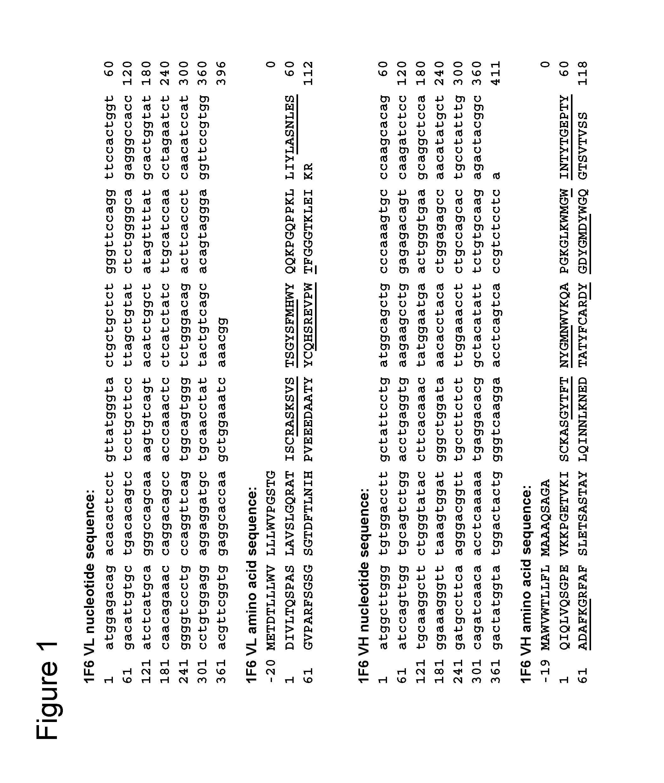 Anti-CD70 Antibody and Its Use for the Treatment and Prevention of Cancer and Immune Disorders