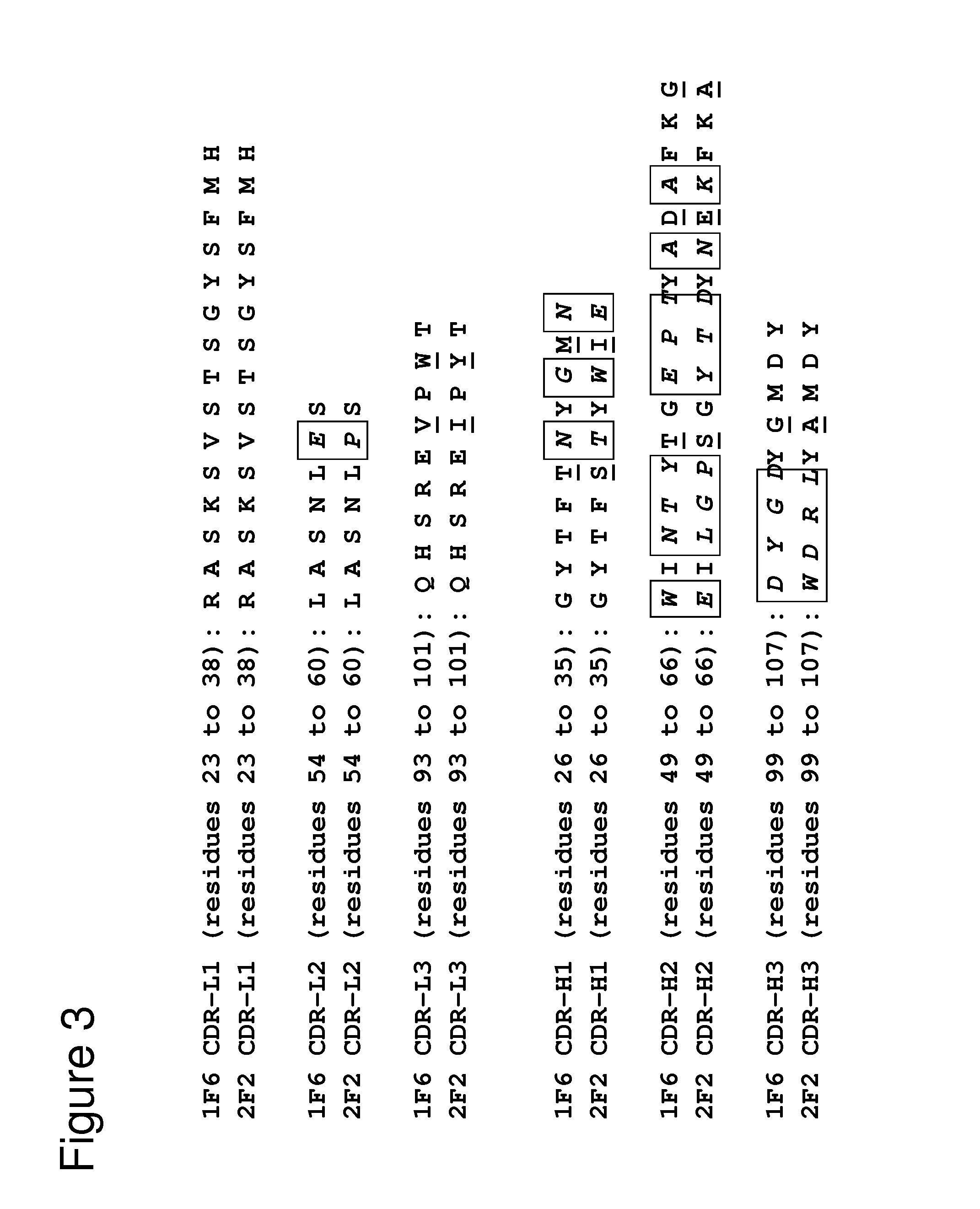 Anti-CD70 Antibody and Its Use for the Treatment and Prevention of Cancer and Immune Disorders